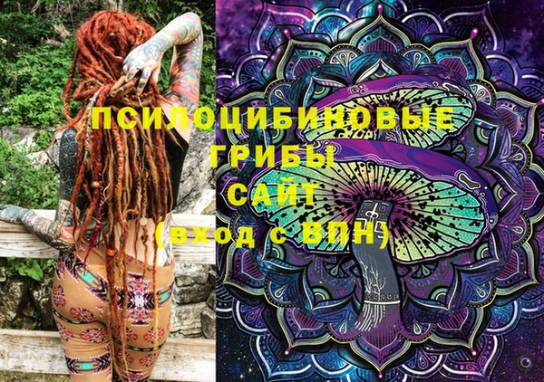 шишки Алзамай