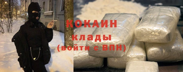 шишки Алзамай