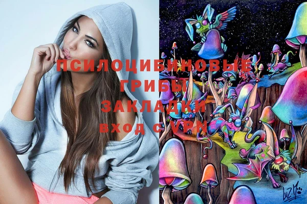 ALPHA-PVP Алексин
