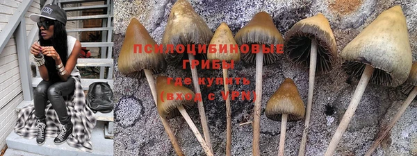 шишки Алзамай