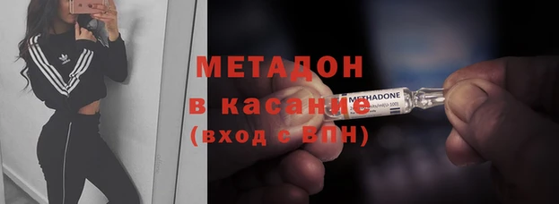 шишки Алзамай