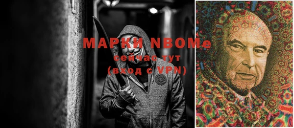 шишки Алзамай