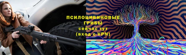 спайс Алексеевка