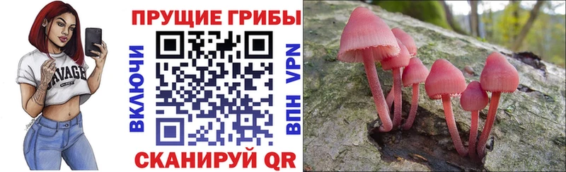 блэк спрут ссылка  Саки  Галлюциногенные грибы мицелий  наркошоп 